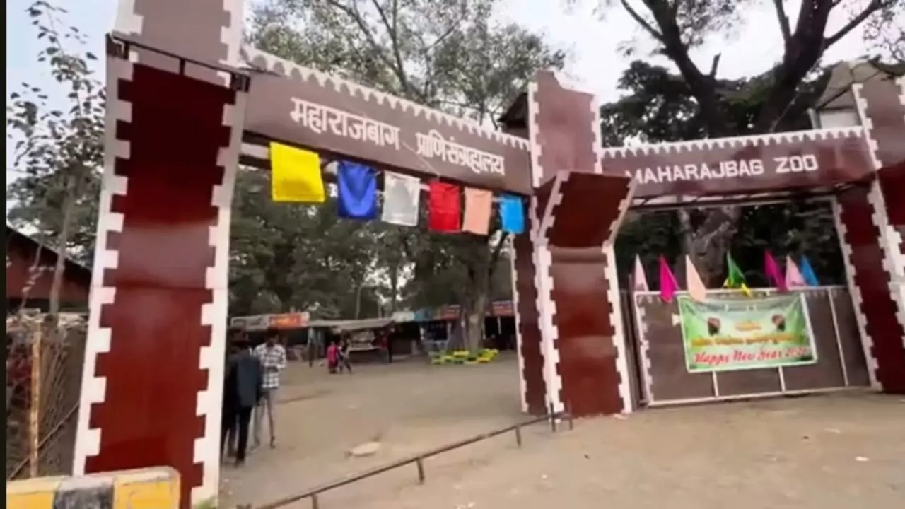 Maharajbagh Zoo, a family-friendly place to visit in Nagpur